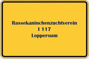 I 117